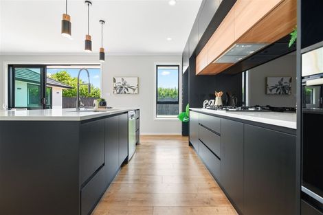 Photo of property in 14a Bree Place, Flagstaff, Hamilton, 3210