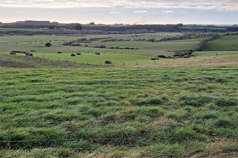 Photo of property in 236 Cheetwood Road, Romahapa, Balclutha, 9273