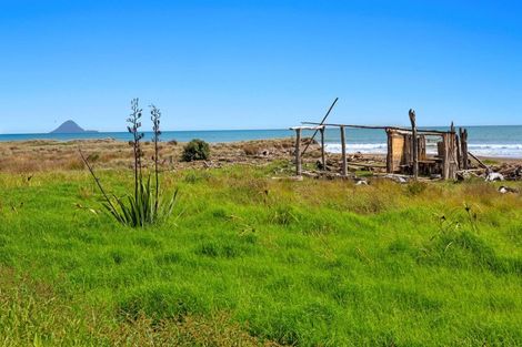 Photo of property in 29 Bryan Road, Waiotahe, Opotiki, 3198