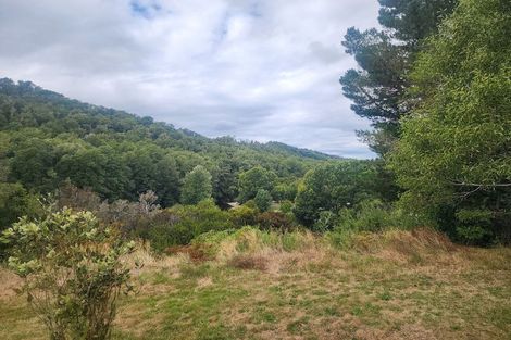 Photo of property in 600 Nelson Creek Road, Nelson Creek, Dobson, 7872