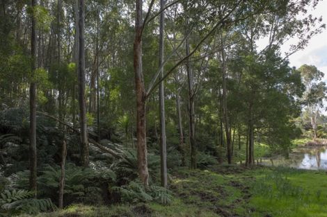 Photo of property in 72 Mick Dillon Road, Tahekeroa, Kaukapakapa, 0873