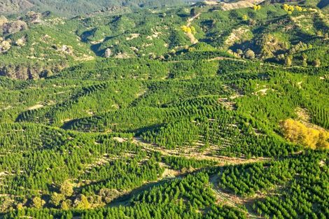 Photo of property in 751 Ongo Road, Hunterville, 4782