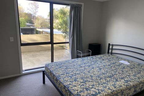 Photo of property in 3/41 Ely Street, Christchurch Central, Christchurch, 8013