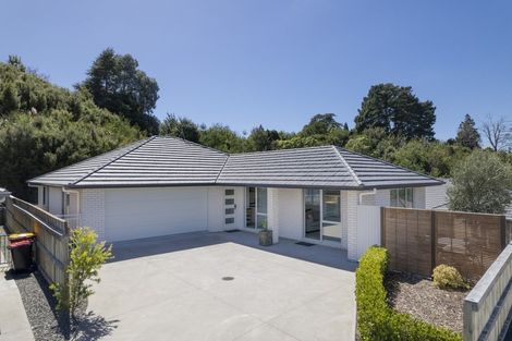 Photo of property in 30 Cheese Factory Lane, Brookfield, Tauranga, 3110