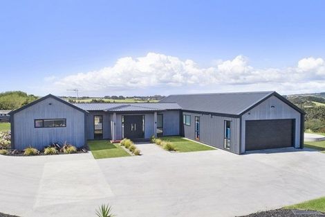 Photo of property in 149 Waller Road, Puni, Pukekohe, 2678