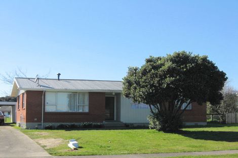 Photo of property in 59 Hinemoa Street, Levin, 5510