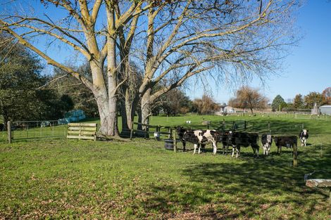 Photo of property in 66 Mill Road, Ohaupo, 3881