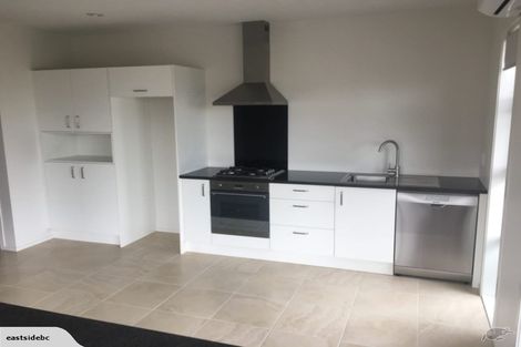 Photo of property in 29 Portland Lane, Chartwell, Hamilton, 3210