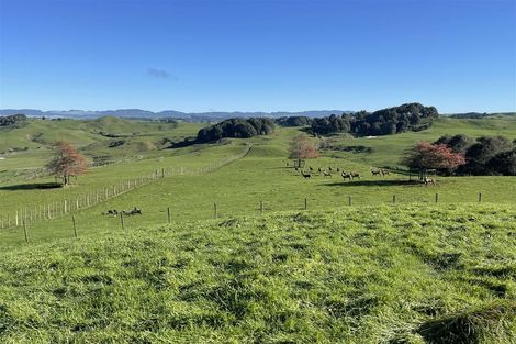 Photo of property in 80a Mangaotaki Road, Piopio, 3971