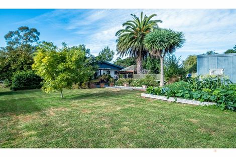 Photo of property in 72 Timaru Road, Waimate, 7924