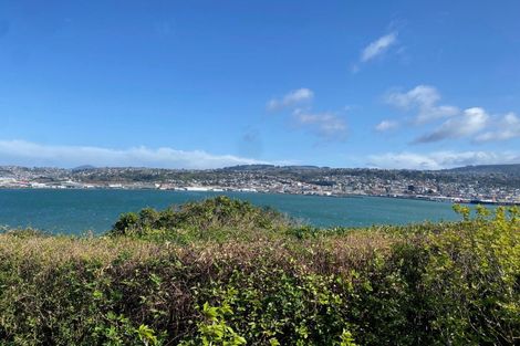 Photo of property in 34 Glengyle Street, Vauxhall, Dunedin, 9013