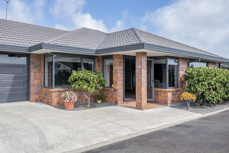 Photo of property in 63a Winchester Street, Levin, 5510