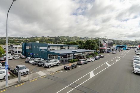 Photo of property in 22 Raroa Road, Kelburn, Wellington, 6012