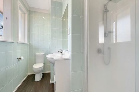 Photo of property in 123 West Tamaki Road, Glen Innes, Auckland, 1072