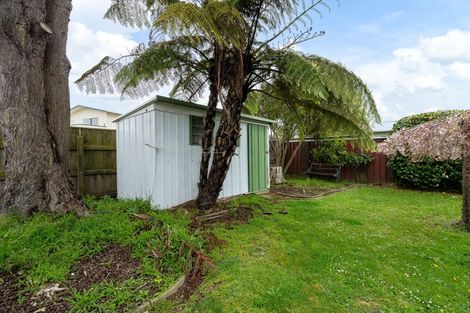 Photo of property in 12 Rimu Street, Levin, 5510