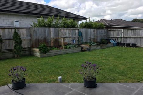 Photo of property in 12 Loftus Place, Flagstaff, Hamilton, 3210