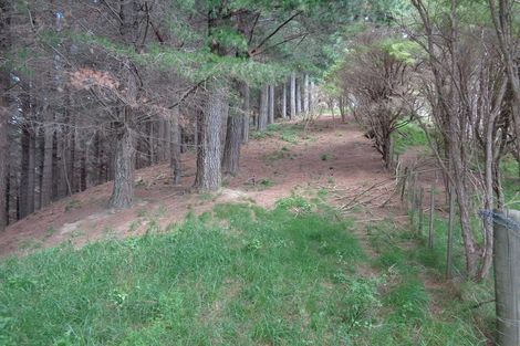 Photo of property in 141 Dodson Valley Road, Atawhai, Nelson, 7010