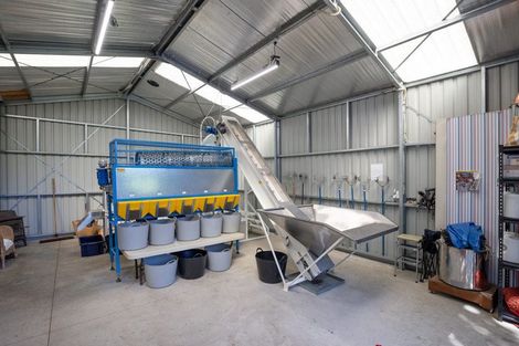 Photo of property in 60 Golden Hills Road, Appleby, Richmond, 7081