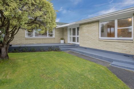 Photo of property in 17 Burn Street, Levin, 5510