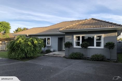 Photo of property in 58 Clarkin Road, Fairfield, Hamilton, 3214