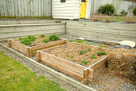 Photo of property in 6 Halston Close, Huntingdon, Ashburton, 7774