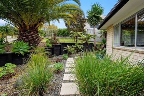 Photo of property in 9 Adler Drive, Ohauiti, Tauranga, 3112