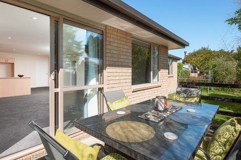 Photo of property in 306a Scott Street, Witherlea, Blenheim, 7201