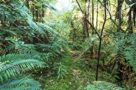 Photo of property in 1960 Waingaro Road, Waingaro, Ngaruawahia, 3793