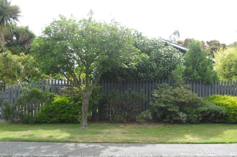 Photo of property in 48 Jacobs Street, St Albans, Christchurch, 8014