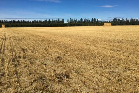 Photo of property in 80 Mount Hutt Station Road, Methven, Rakaia, 7782