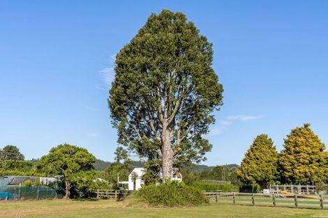 Photo of property in 524 Tairua Sh25 Road, Whangamata, 3691