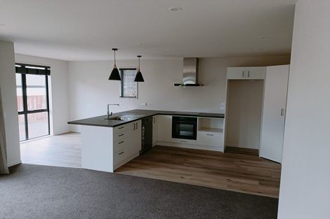 Photo of property in 47 Cranford Street, St Albans, Christchurch, 8014