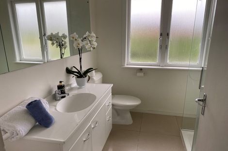 Photo of property in 22 Ferndale Road, Mount Wellington, Auckland, 1060