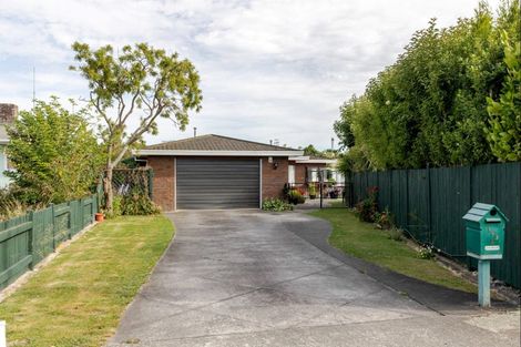 Photo of property in 183a College Street, Awapuni, Palmerston North, 4412
