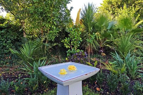 Photo of property in 401 Lascelles Street, Saint Leonards, Hastings, 4120