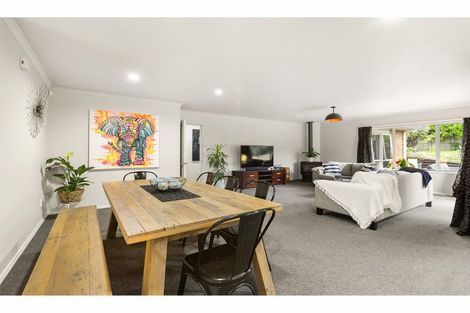 Photo of property in 25 Cashmere Place, Flagstaff, Hamilton, 3210