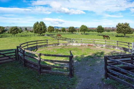 Photo of property in 172b Manaia Road, Homebush, Masterton, 5885