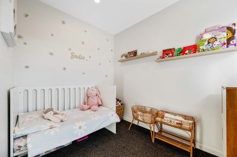 Photo of property in 43 Larch Crescent, Alexandra, 9320