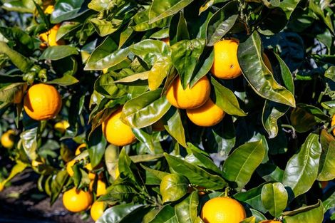 Photo of property in 89 Hillwood Drive, Wakapuaka, Nelson, 7071