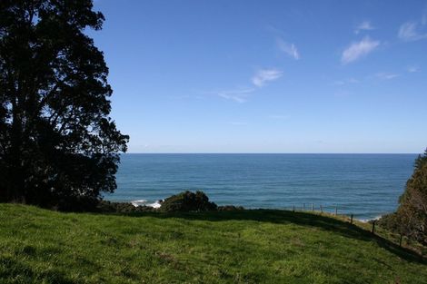 Photo of property in 341 Onemana Drive, Onemana, Whangamata, 3691