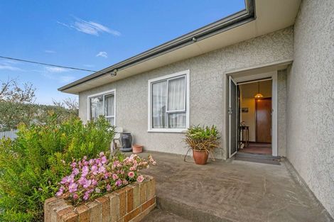 Photo of property in 902 Norrie Street, Mahora, Hastings, 4120