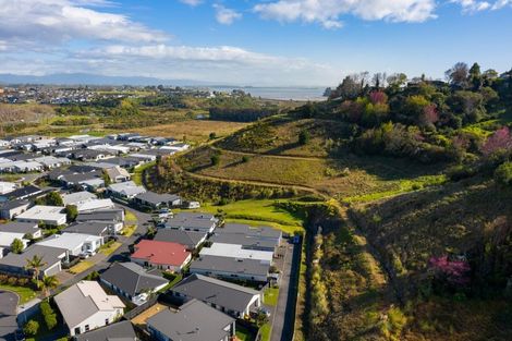 Photo of property in 44 Saint Pauls Drive, Brookfield, Tauranga, 3110