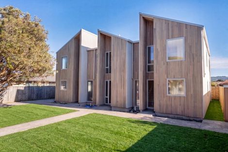 Photo of property in 11 Collingwood Street, Waterloo, Lower Hutt, 5011