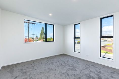 Photo of property in 38a Monro Street, Blenheim, 7201