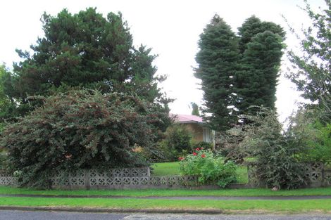 Photo of property in 20 Turner Place, Tokoroa, 3420