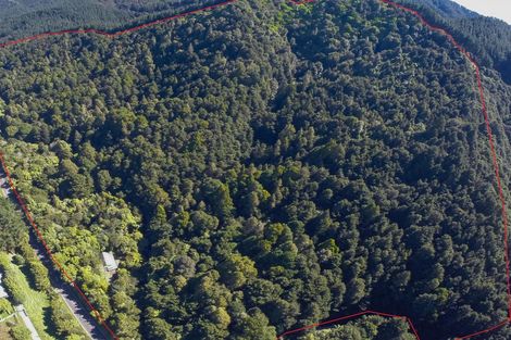 Photo of property in 1960 Waingaro Road, Waingaro, Ngaruawahia, 3793