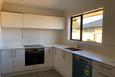 Photo of property in 5b Manchester Street, Levin, 5510