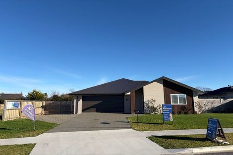 Photo of property in 50 Benn Street, Amberley, 7410
