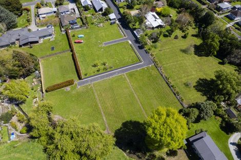 Photo of property in 17 Oswald Street, Mangapapa, Gisborne, 4010