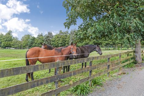 Photo of property in 88 Wright Road, Waiau Pa, Pukekohe, 2679